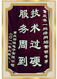 網(wǎng)站建設(shè)專家技術(shù)服務(wù)錦旗