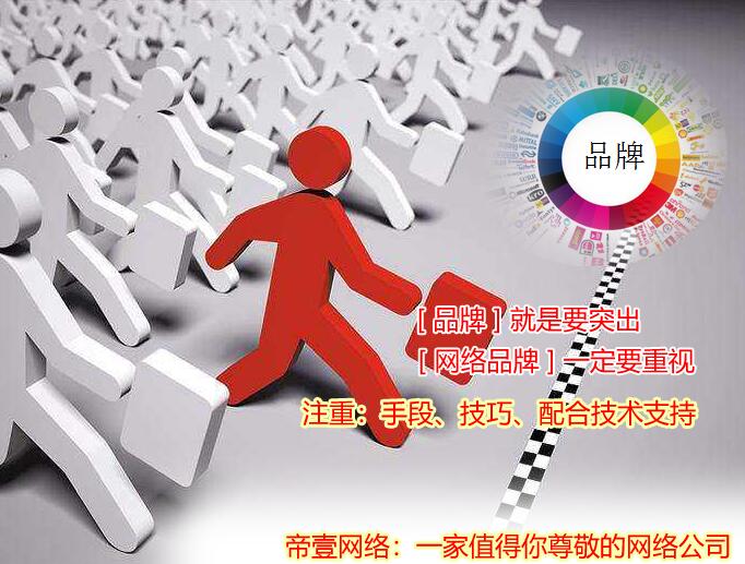 品牌網(wǎng)絡(luò)推廣注重手段、技巧配合技術(shù)支持