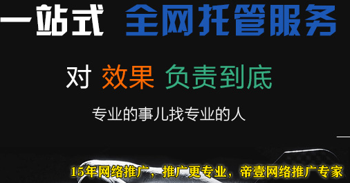 帝壹網(wǎng)絡推廣專家 帝壹網(wǎng)絡推廣專家