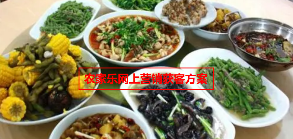 農(nóng)家樂如何在網(wǎng)上營銷獲客方案